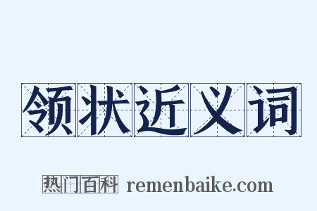 领状近义词是什么意思的图片